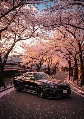 Black Car Under Cherry Blossom Trees