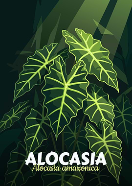 Alocasia Amazonica Plant Illustration