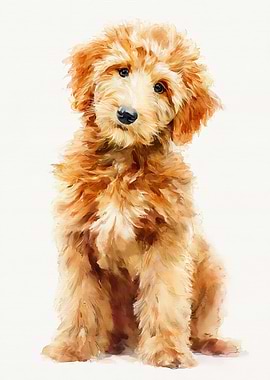 Watercolor Portrait of a Golden Doodle Puppy