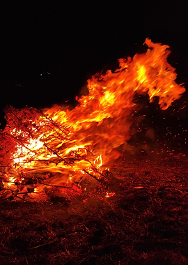 Bonfire at Night
