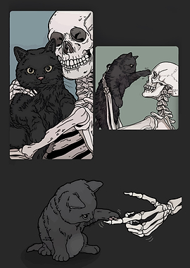 Skeleton and Cat Interactions
