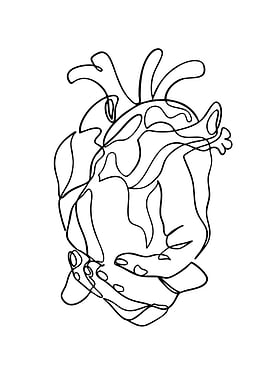 Anatomical Heart Line Art