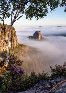 Saxon Switzerland National Park Landscape