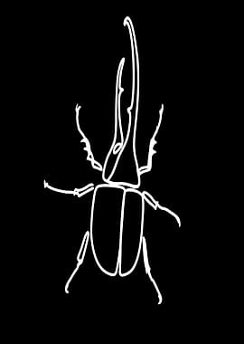 Beetle Line Art on Black