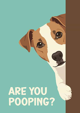 Jack Russell Terrier : Are You Pooping?