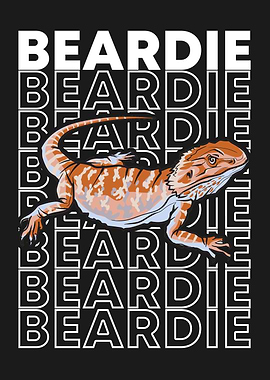 Bearded Dragon Reptile Owner