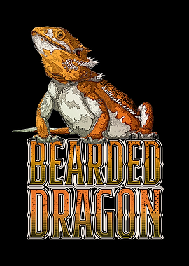 Bearded Dragon Reptile Keeper