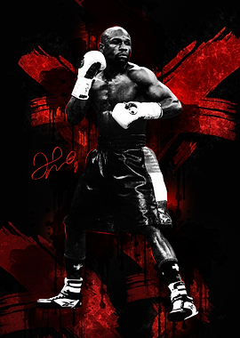 Floyd Mayweather Boxing