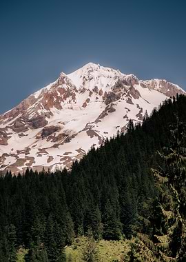 Mount Hood