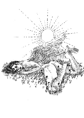 Fallen Angel in Grassy Field