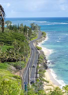 Hawaiian Coastal Road Ocean View