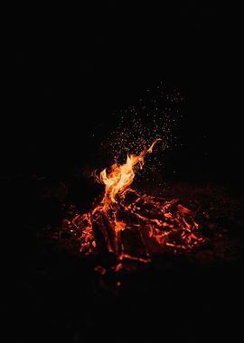 Burning Campfire at Night