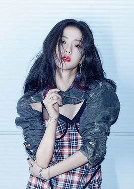 Jisoo Stylish Woman in Plaid and Denim