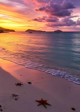 Sunset Beach with Starfish
