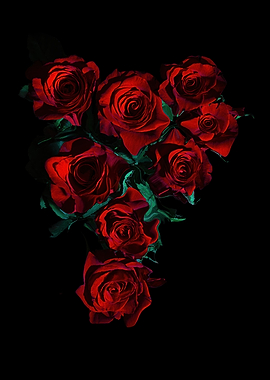 Red Roses on Black Background