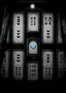 Butterfly Collection in Frames