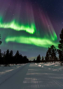 Aurora Borealis over Snowy Landscape