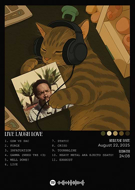 Cat with Headphones Album Cover