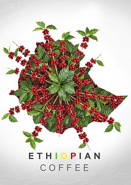 Ethiopian Coffee Map