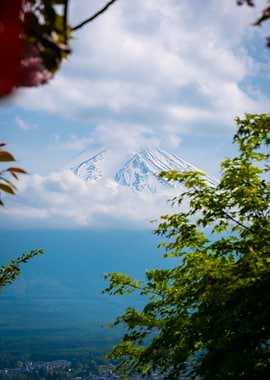 Mount Fuji framed by foliage