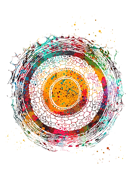 Cross Section of Human Hair