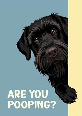 Giant Schnauzer Dog : Are You Pooping?