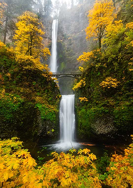 Multnomah Falls in Autumn