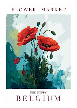 Flower Market Red Poppy Belgium art