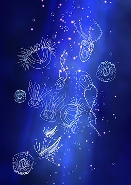 Blue Marine Underwater Jellyfish World