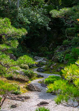 Japanese Garden Path