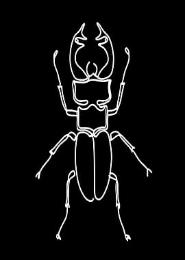Minimalist Stag Beetle Line Art