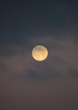 Full Moon in the Night Sky