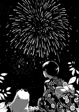 Fireworks Black Night
