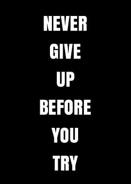 Never Give Up Before You Try