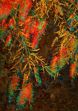 Bottle Brush Tree 2: Close-up of a Vibrant Floral Bush in Vivid Colors and Dark Textured Background