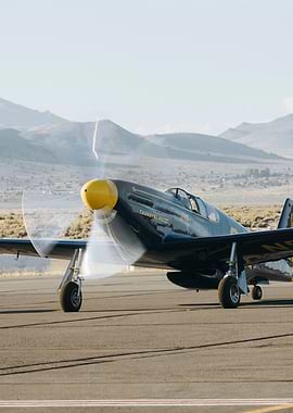 Vintage Airplane on Runway