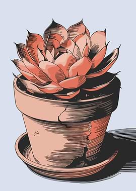 Potted Succulent Illustration