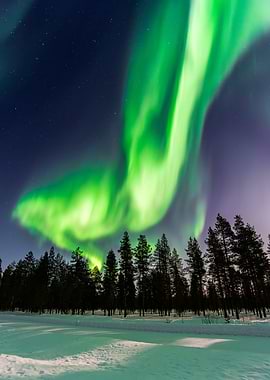 Aurora Borealis over Snowy Forest