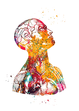 Anatomical Watercolor Head and Torso