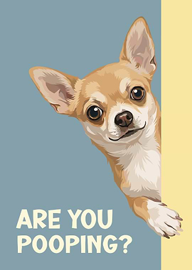 Chihuahua: Are You Pooping?
