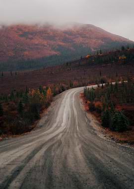 Autumn Road