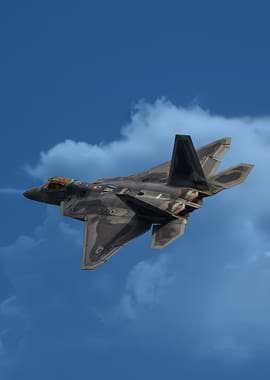 F-22 Raptor in Flight