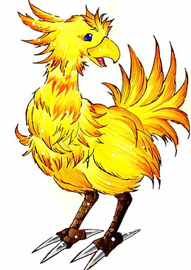 Chocobo Illustration