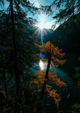 Sunlit Autumn Forest Lake Scene