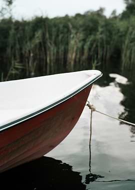Red and White Boat on Water