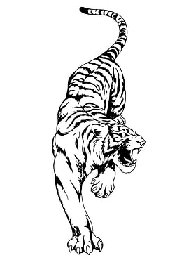 Black and White Tiger Illustration