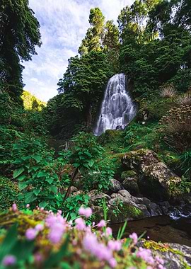 Waterfall in Lush Green Forest