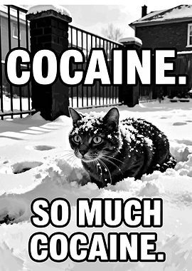 Cat in Snow with Text Overlay