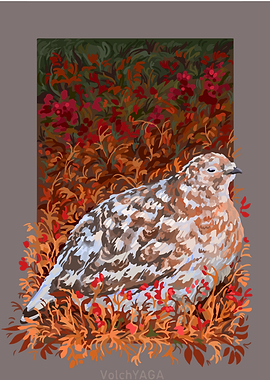 Ptarmigan in Autumn Foliage Illustration