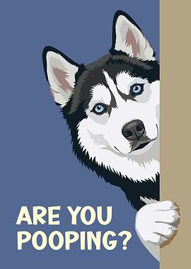 Funny Husky: Are You Pooping?
